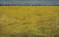 Rapsfeld  Öl/Pappe  28x44,3 cm