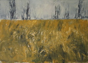 Herbstmais (Stolpe) Öl/Lw. 50x70 Herbstmais (Stolpe) Öl/Lw. 50x70