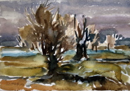 Weidengruppe (Hiddensee)  Aquarell  22,2x28,5 cm