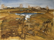 Landschaft bei Vehlefanz  Aquarell  30x40 cm